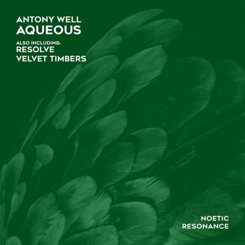 Aqueous artwork